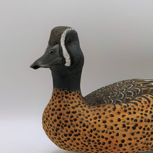 Click to view detail for Blue Winged Teal $2400